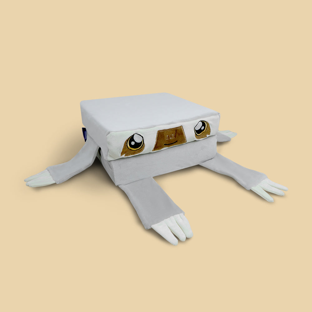 Pillowblox for Kids