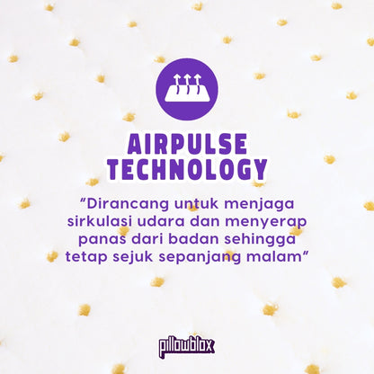 Pillowblox Bolster with Natural Latex & Airpulse Technology